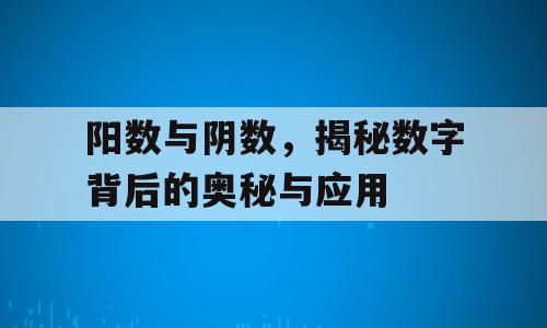 阳数与阴数，揭秘数字背后的奥秘与应用