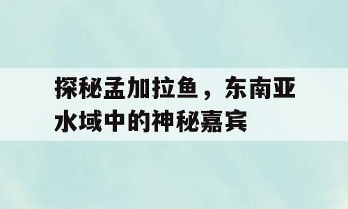 探秘孟加拉鱼，东南亚水域中的神秘嘉宾