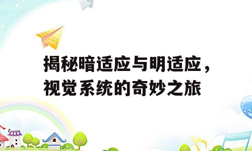 揭秘暗适应与明适应，视觉系统的奇妙之旅