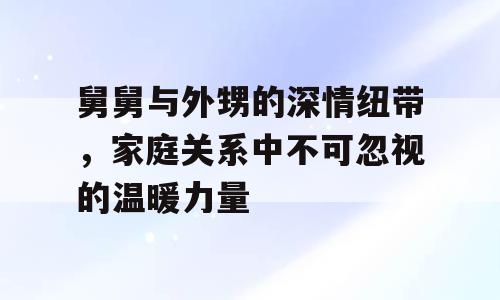 舅舅与外甥的深情纽带，家庭关系中不可忽视的温暖力量