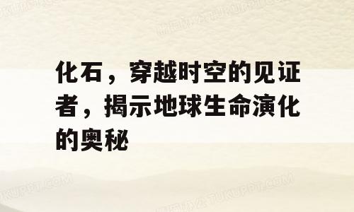 化石，穿越时空的见证者，揭示地球生命演化的奥秘