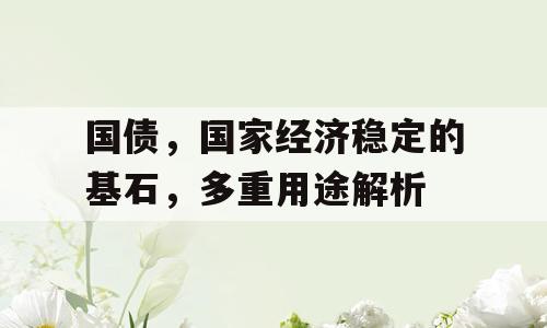 国债，国家经济稳定的基石，多重用途解析