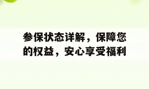 参保状态详解，保障您的权益，安心享受福利