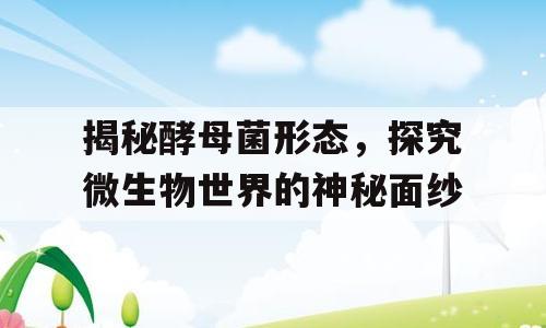 揭秘酵母菌形态，探究微生物世界的神秘面纱
