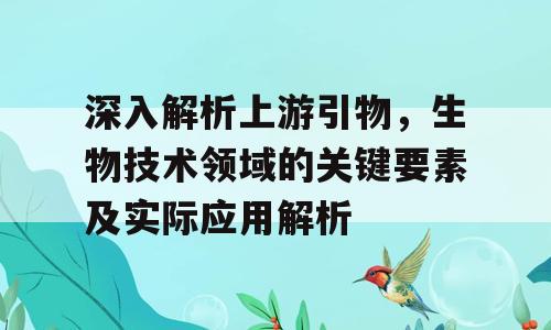 深入解析上游引物，生物技术领域的关键要素及实际应用解析