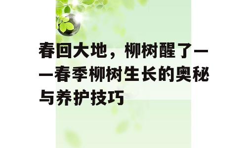 春回大地，柳树醒了——春季柳树生长的奥秘与养护技巧
