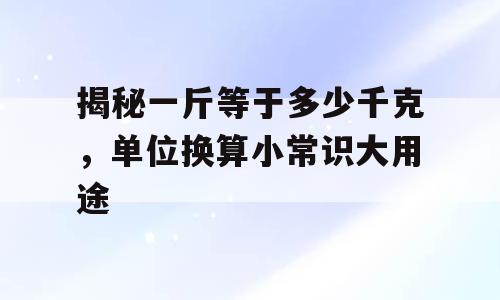 揭秘一斤等于多少千克，单位换算小常识大用途