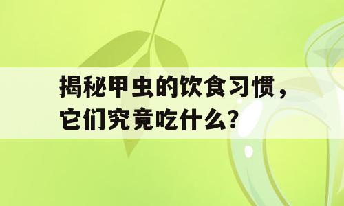 揭秘甲虫的饮食习惯，它们究竟吃什么？