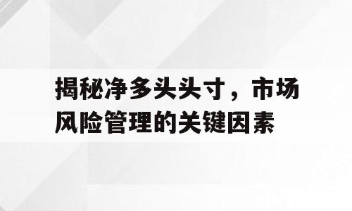 揭秘净多头头寸，市场风险管理的关键因素