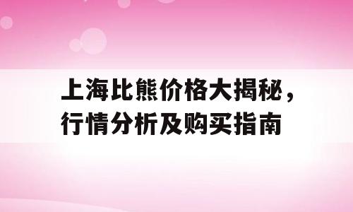 上海比熊价格大揭秘，行情分析及购买指南