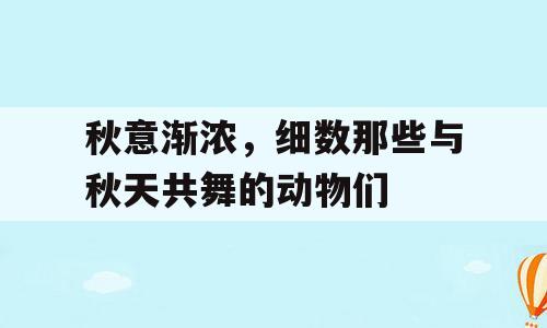 秋意渐浓，细数那些与秋天共舞的动物们