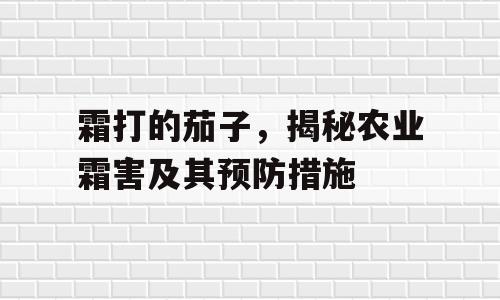 霜打的茄子，揭秘农业霜害及其预防措施