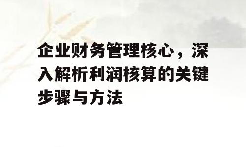企业财务管理核心，深入解析利润核算的关键步骤与方法