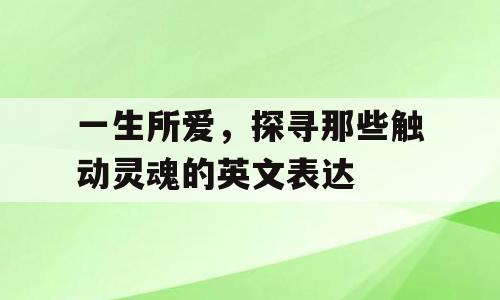 一生所爱，探寻那些触动灵魂的英文表达