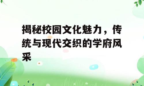 揭秘校园文化魅力，传统与现代交织的学府风采