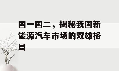 国一国二，揭秘我国新能源汽车市场的双雄格局