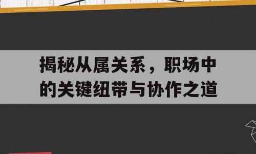 揭秘从属关系，职场中的关键纽带与协作之道