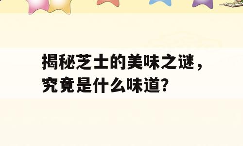 揭秘芝士的美味之谜，究竟是什么味道？