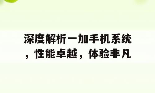 深度解析一加手机系统，性能卓越，体验非凡