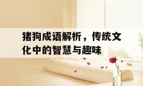 猪狗成语解析，传统文化中的智慧与趣味