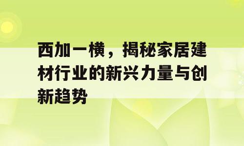 西加一横，揭秘家居建材行业的新兴力量与创新趋势