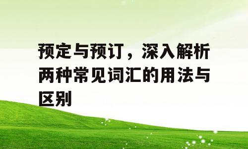 预定与预订，深入解析两种常见词汇的用法与区别