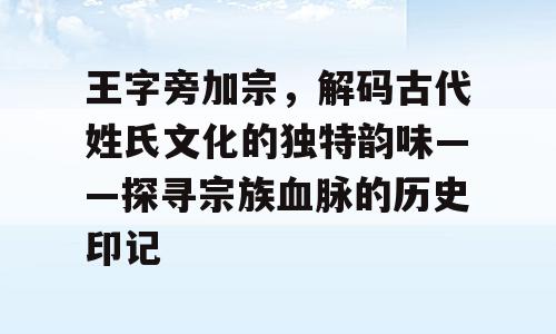 王字旁加宗，解码古代姓氏文化的独特韵味——探寻宗族血脉的历史印记
