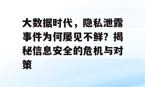 大数据时代，隐私泄露事件为何屡见不鲜？揭秘信息安全的危机与对策
