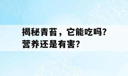 揭秘青苔，它能吃吗？营养还是有害？