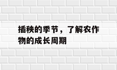 插秧的季节，了解农作物的成长周期