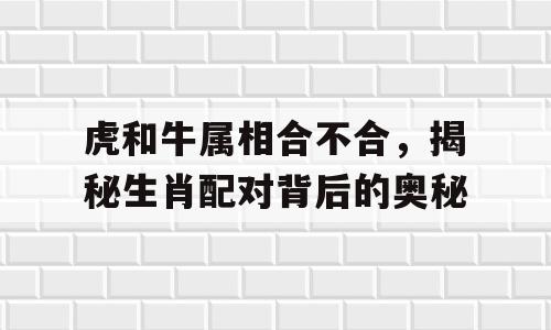 虎和牛属相合不合，揭秘生肖配对背后的奥秘