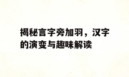 揭秘言字旁加羽，汉字的演变与趣味解读
