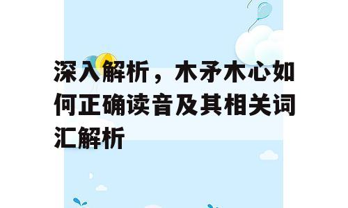 深入解析，木矛木心如何正确读音及其相关词汇解析
