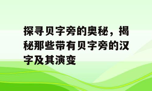 探寻贝字旁的奥秘，揭秘那些带有贝字旁的汉字及其演变