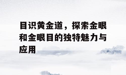目识黄金道，探索金眼和金眼目的独特魅力与应用