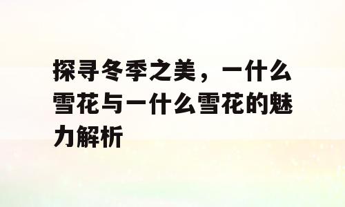 探寻冬季之美，一什么雪花与一什么雪花的魅力解析