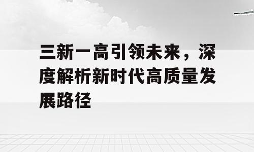 三新一高引领未来，深度解析新时代高质量发展路径