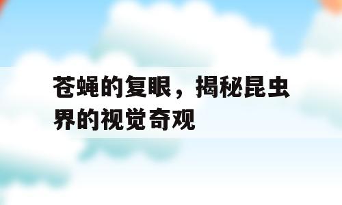 苍蝇的复眼，揭秘昆虫界的视觉奇观