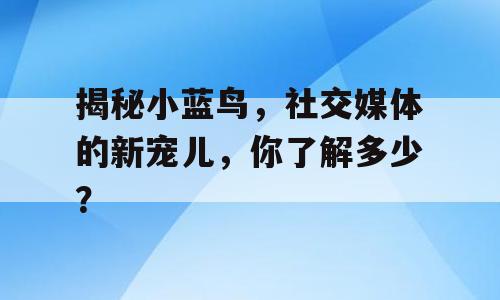 揭秘小蓝鸟，社交媒体的新宠儿，你了解多少？