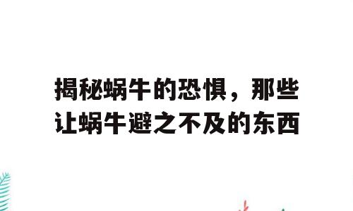 揭秘蜗牛的恐惧，那些让蜗牛避之不及的东西