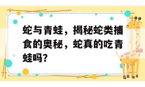 蛇与青蛙，揭秘蛇类捕食的奥秘，蛇真的吃青蛙吗？