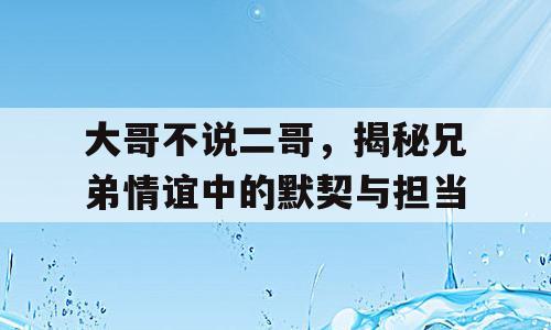 大哥不说二哥，揭秘兄弟情谊中的默契与担当