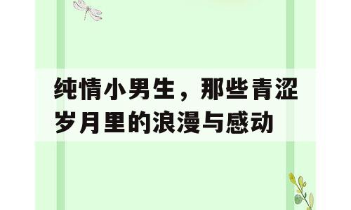 纯情小男生，那些青涩岁月里的浪漫与感动