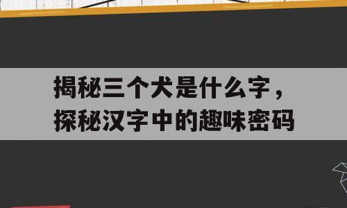 揭秘三个犬是什么字，探秘汉字中的趣味密码
