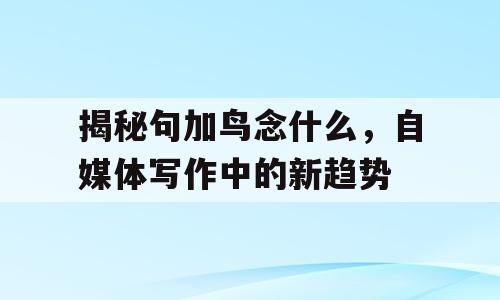揭秘句加鸟念什么，自媒体写作中的新趋势