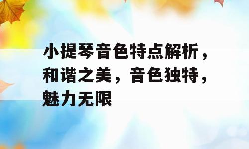 小提琴音色特点解析，和谐之美，音色独特，魅力无限