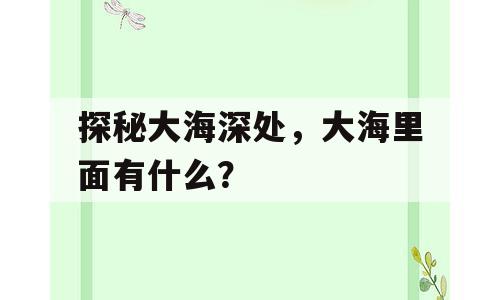 探秘大海深处，大海里面有什么？