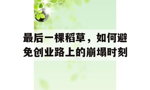 最后一棵稻草，如何避免创业路上的崩塌时刻