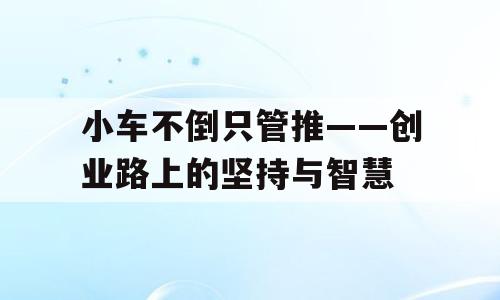 小车不倒只管推——创业路上的坚持与智慧