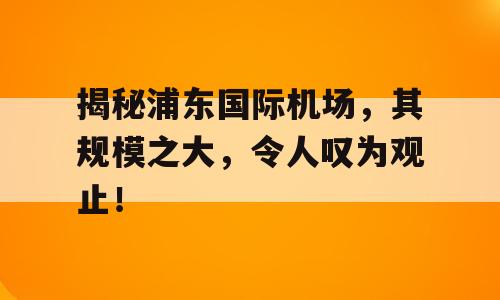 揭秘浦东国际机场，其规模之大，令人叹为观止！